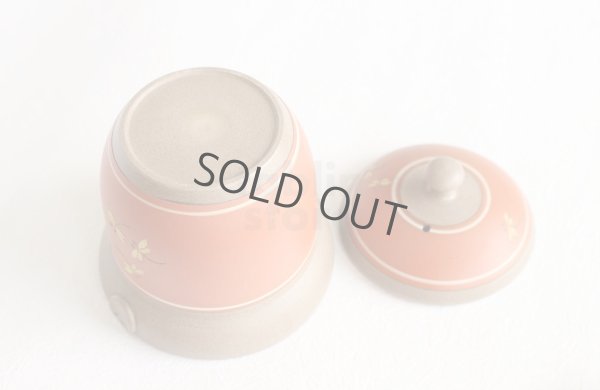Photo5: Tokoname ware Japanese tea pot tosei dragonfly cover ceramic tea strainer 150ml