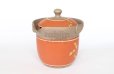 Photo7: Tokoname ware Japanese tea pot tosei dragonfly cover ceramic tea strainer 150ml