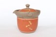Photo8: Tokoname ware Japanese tea pot tosei dragonfly cover ceramic tea strainer 150ml