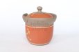 Photo9: Tokoname ware Japanese tea pot tosei dragonfly cover ceramic tea strainer 150ml