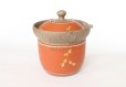 Photo1: Tokoname ware Japanese tea pot tosei dragonfly cover ceramic tea strainer 150ml (1)