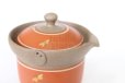 Photo10: Tokoname ware Japanese tea pot tosei dragonfly cover ceramic tea strainer 150ml