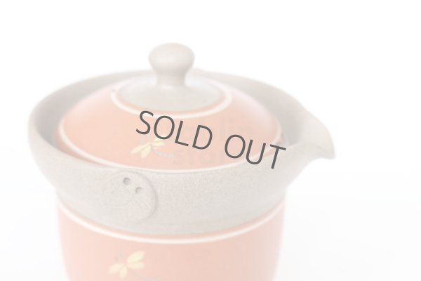 Photo10: Tokoname ware Japanese tea pot tosei dragonfly cover ceramic tea strainer 150ml