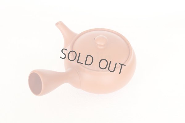 Photo7: Tokoname tea pot kyusu Jinsui Kiwami shudei red fuku hira 270ml