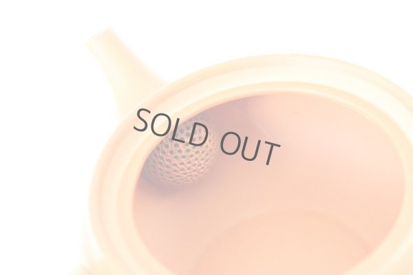 Photo6: Tokoname tea pot kyusu Jinsui Kiwami shudei red fuku hira 270ml