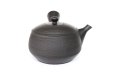 Photo3: Tokoname YT ware Japanese tea pot Gyokko ceramic tea strainer black syudei 300ml