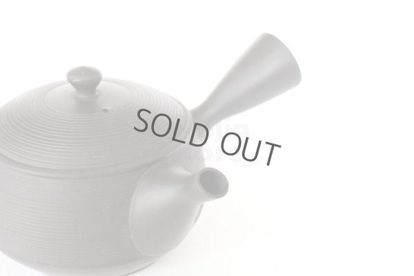 Photo4: Tokoname YT ware Japanese tea pot Gyokko ceramic tea strainer black syudei 300ml