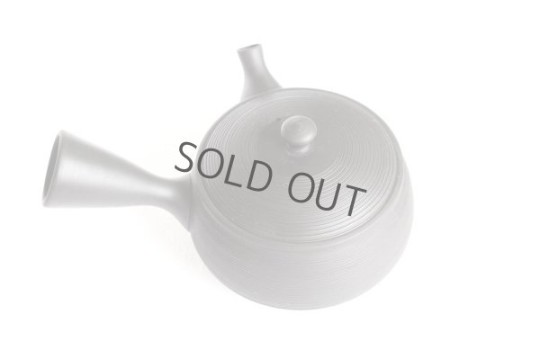 Photo5: Tokoname YT ware Japanese tea pot Gyokko ceramic tea strainer black syudei 300ml