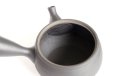 Photo6: Tokoname YT ware Japanese tea pot Gyokko ceramic tea strainer black syudei 300ml
