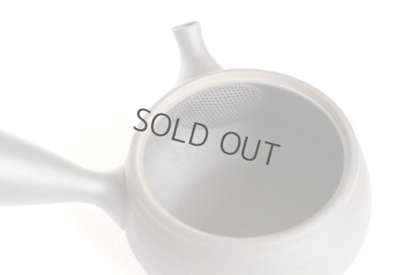 Photo6: Tokoname YT ware Japanese tea pot Gyokko ceramic tea strainer black syudei 300ml