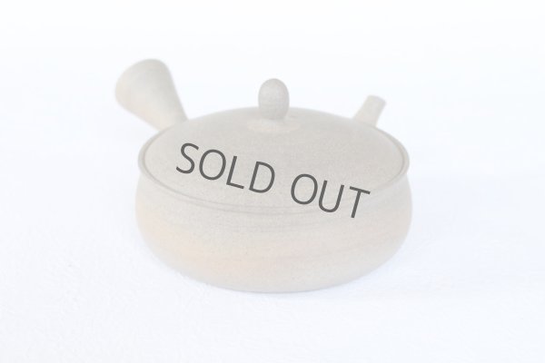 Photo4: Tokoname 2H Japanese tea pot Gyokko pottery tea strainer flat shape yakishime 170ml