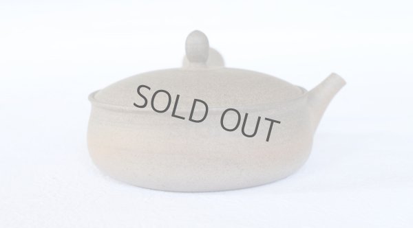 Photo3: Tokoname 2H Japanese tea pot Gyokko pottery tea strainer flat shape yakishime 170ml