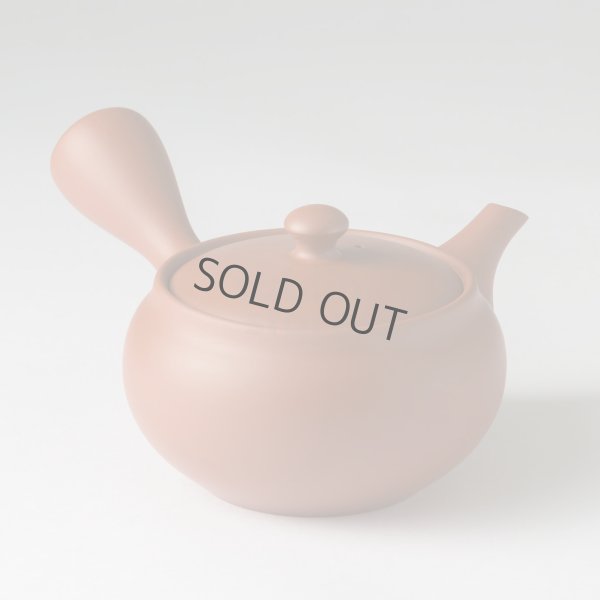 Photo13: Tokoname tea pot kyusu Jinsui Kiwami shudei red fuku hira 270ml