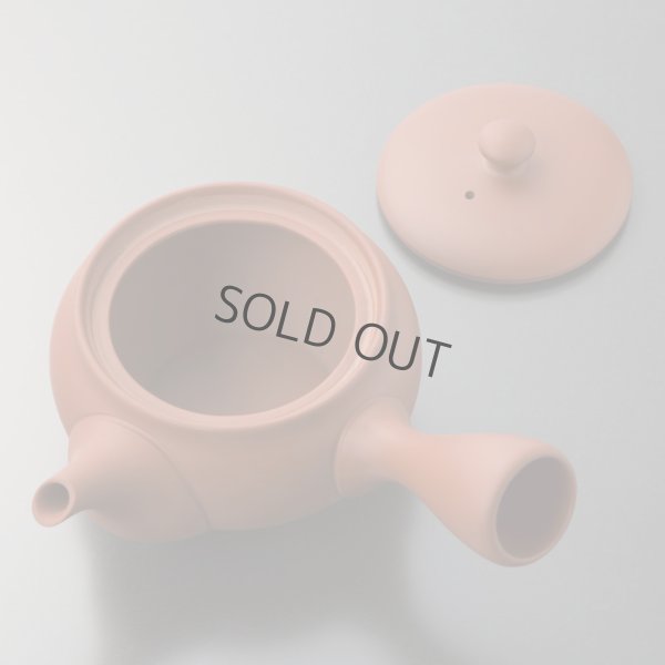 Photo11: Tokoname tea pot kyusu Jinsui Kiwami shudei red fuku hira 270ml