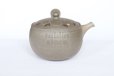 Photo13: Tokoname pottery YT Japanese tea pot kyusu yakishime Yutaka karakusa 300ml