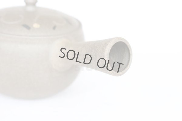 Photo3: Tokoname pottery YT Japanese tea pot kyusu yakishime Yutaka karakusa 300ml