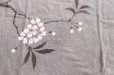 Photo4: Natural and Hand dyes Mitsuru unisexed T-shirt made in Japan cherry kakishibu (4)