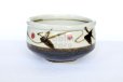 Photo1: Mino ware Japanese pottery matcha chawan tea bowl toga tatsusa kara (1)