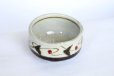 Photo4: Mino ware Japanese pottery matcha chawan tea bowl toga tatsusa kara