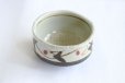 Photo8: Mino ware Japanese pottery matcha chawan tea bowl toga tatsusa kara