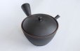 Photo3: Tokoname YT Japanese tea pot kyusu Gyokko line black 300ml