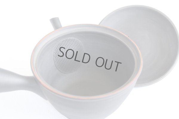 Photo5: Tokoname YT Japanese tea pot kyusu Gyokko line black 300ml