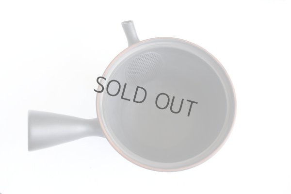 Photo6: Tokoname YT Japanese tea pot kyusu Gyokko line black 300ml