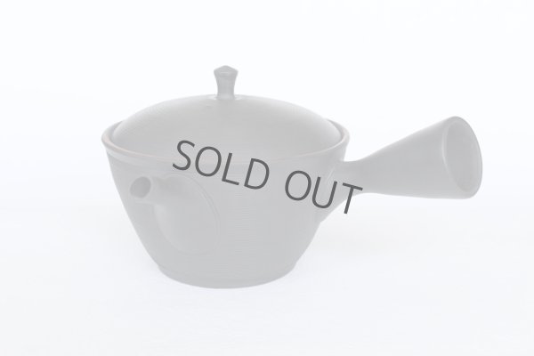 Photo8: Tokoname YT Japanese tea pot kyusu Gyokko line black 300ml