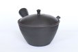 Photo10: Tokoname YT Japanese tea pot kyusu Gyokko line black 300ml