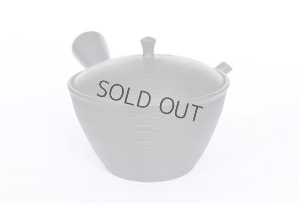 Photo10: Tokoname YT Japanese tea pot kyusu Gyokko line black 300ml
