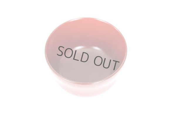 Photo3: Japanese Echizen Urushi lacquer soup rice bowl wan rabbit D10.3cm set of 2