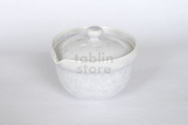 Photo1: Kiyomizu porcelain Japanese tea pot Shiboridashi white crystal glaze Toan 170ml