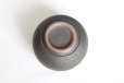 Photo5: Shigaraki pottery salt sugar storage container box 190ml