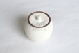 Photo9: Shigaraki pottery salt sugar storage container box 190ml (9)