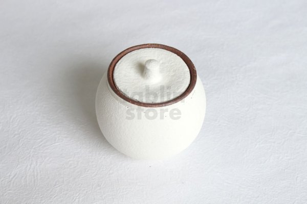 Photo9: Shigaraki pottery salt sugar storage container box 190ml