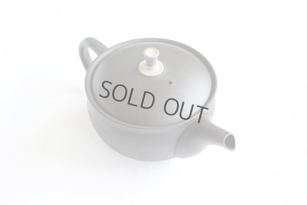 Photo11: Tokoname Japanese tea pot Gyokuryu ceramic tea strainer tsumami-w black 290ml