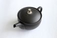 Photo10: Tokoname Japanese tea pot Gyokuryu ceramic tea strainer tsumami-w black 290ml