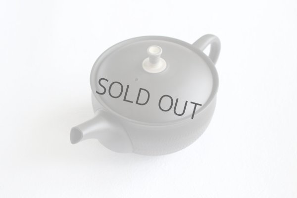 Photo10: Tokoname Japanese tea pot Gyokuryu ceramic tea strainer tsumami-w black 290ml