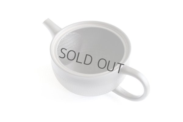 Photo8: Tokoname Japanese tea pot Gyokuryu ceramic tea strainer tsumami-w black 290ml