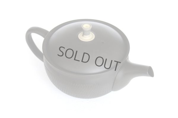 Photo3: Tokoname Japanese tea pot Gyokuryu ceramic tea strainer tsumami-w black 290ml
