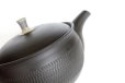 Photo2: Tokoname Japanese tea pot Gyokuryu ceramic tea strainer tsumami-w black 290ml (2)
