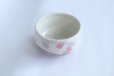 Photo2: Mino ware Japanese pottery tea ceremony bowl Matcha chawan sakura sho noten (2)