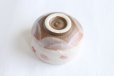 Photo4: Mino ware Japanese pottery tea ceremony bowl Matcha chawan sakura sho noten