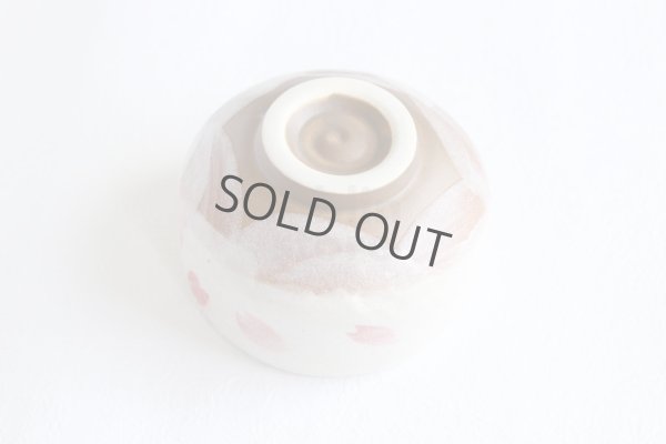 Photo4: Mino ware Japanese pottery tea ceremony bowl Matcha chawan sakura sho noten