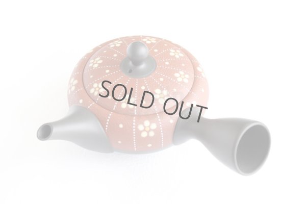 Photo9: Tokoname Japanese tea pot kyusu YT Shohou shu-red white plum 260ml