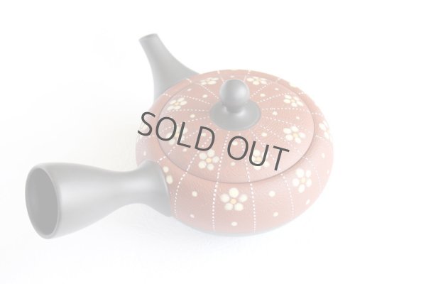 Photo8: Tokoname Japanese tea pot kyusu YT Shohou shu-red white plum 260ml