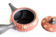 Photo7: Tokoname Japanese tea pot kyusu YT Shohou shu-red white plum 260ml