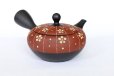 Photo5: Tokoname Japanese tea pot kyusu YT Shohou shu-red white plum 260ml