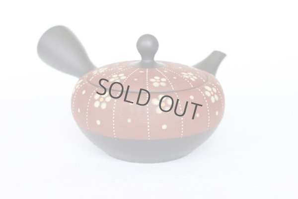 Photo5: Tokoname Japanese tea pot kyusu YT Shohou shu-red white plum 260ml