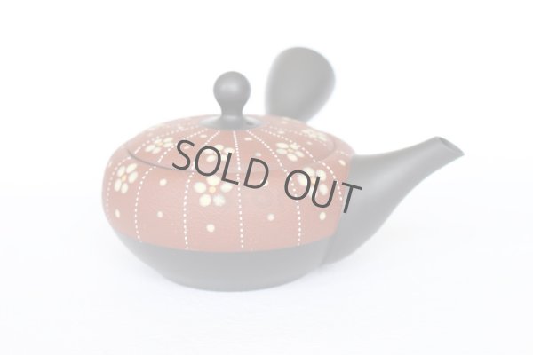 Photo4: Tokoname Japanese tea pot kyusu YT Shohou shu-red white plum 260ml